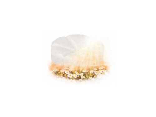 bolsius scent chip summer light